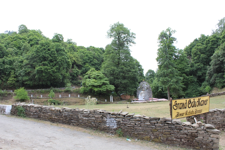 Photo of Binsar Wildlife Sanctuary, Binsar, Uttarakhand, India by Prashant Srivastava
