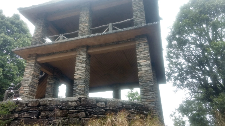 Photo of Binsar Wildlife Sanctuary, Binsar, Uttarakhand, India by Prashant Srivastava