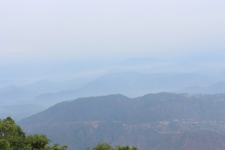 Photo of Binsar Wildlife Sanctuary, Binsar, Uttarakhand, India by Prashant Srivastava