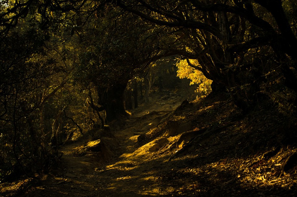 Photo of Journey to the Lake of Paradise #TripotoClicksHimalayas 4/21 by Debarup Mukherjee