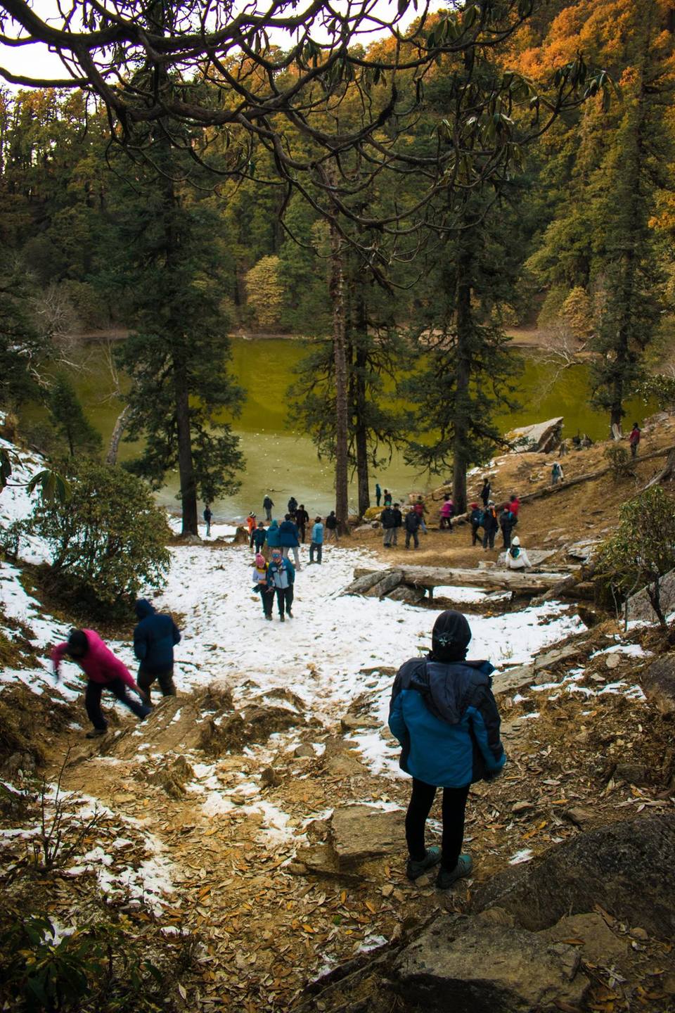 Photo of Journey to the Lake of Paradise #TripotoClicksHimalayas 7/21 by Debarup Mukherjee