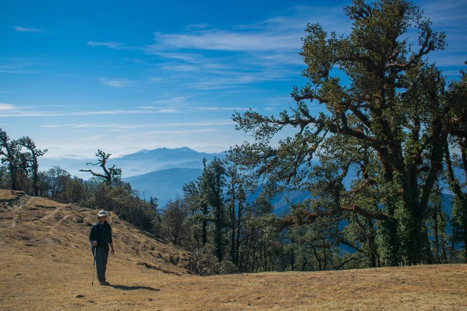 Photo of Journey to the Lake of Paradise #TripotoClicksHimalayas 10/21 by Debarup Mukherjee
