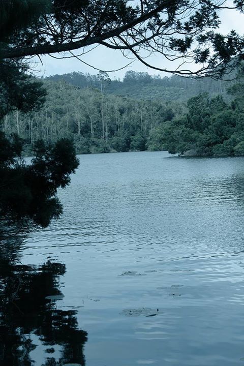 Photo of Kodaikanal, Tamil Nadu, India by RACHNA SINGH