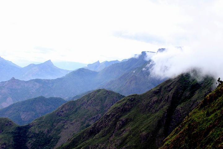 Photo of Kodaikanal, Tamil Nadu, India by RACHNA SINGH