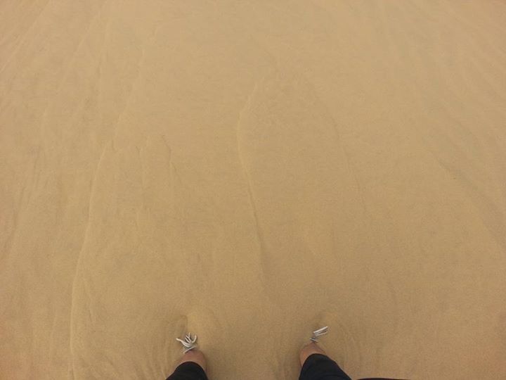 Photo of DESERT NIGHTS in INDIA! by RACHNA SINGH