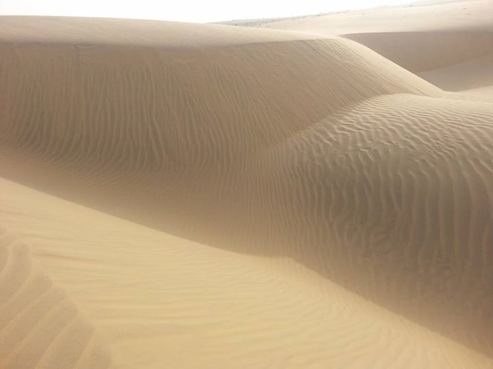 Photo of DESERT NIGHTS in INDIA! by RACHNA SINGH