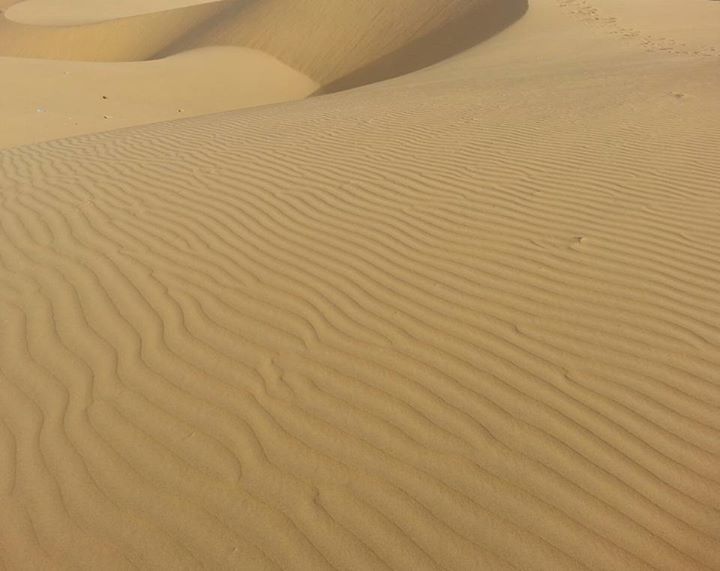 Photo of DESERT NIGHTS in INDIA! by RACHNA SINGH