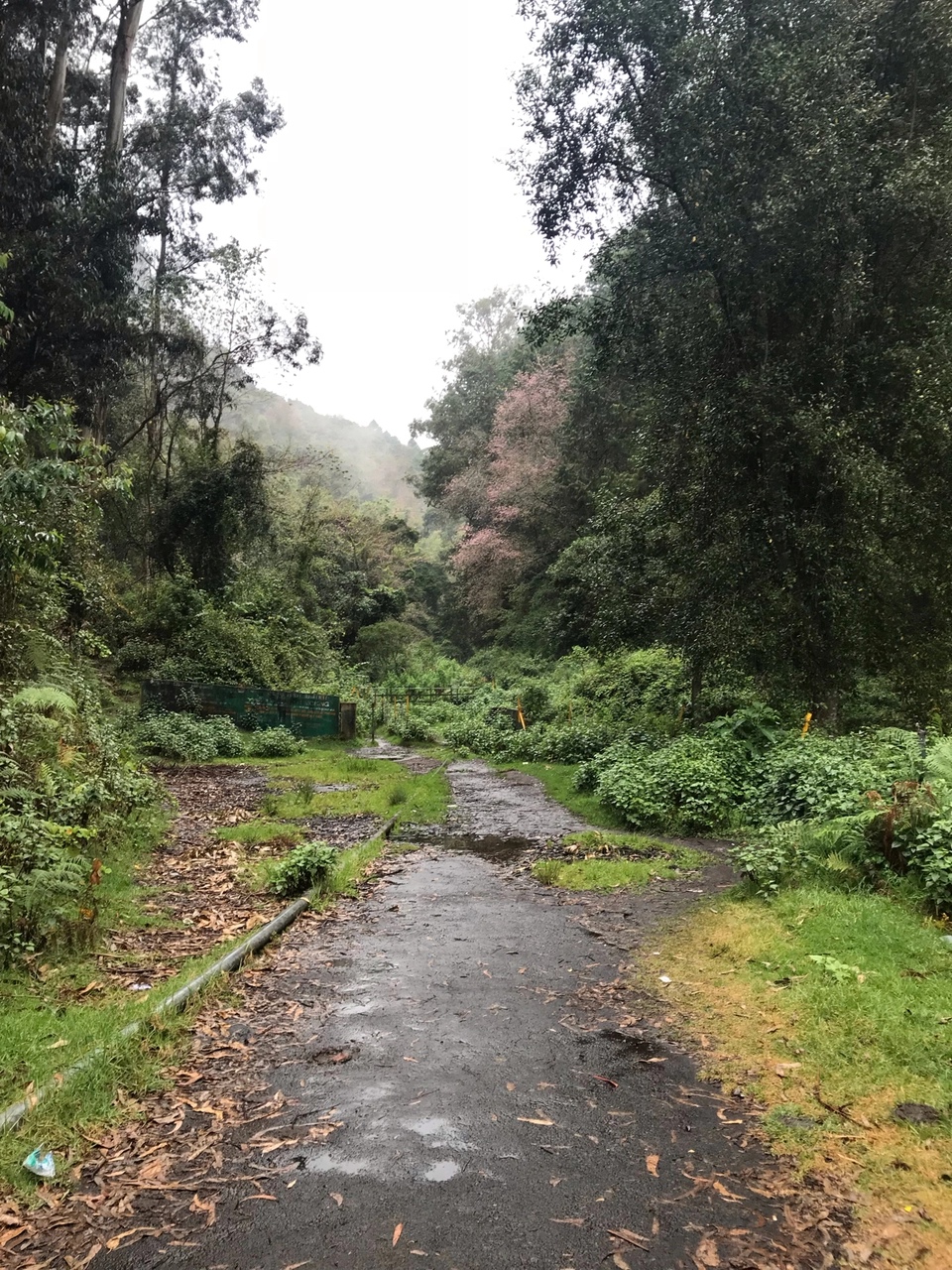 Photo of Kodaikanal - A little further #notinnorth by Filterkaapitravel