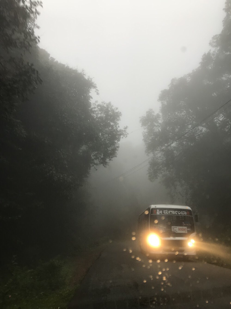 Photo of Agumbe 1/3 by Filterkaapitravel