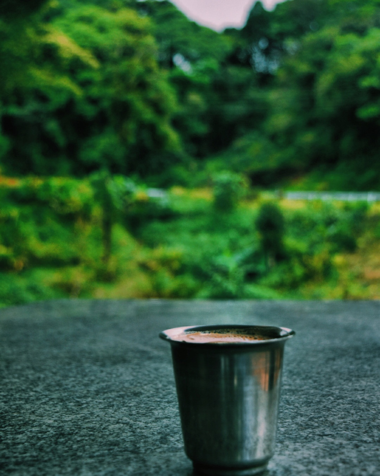 Photo of Coorg: A Place with Poetry Etched into Every Inch of It. 7/9 by Pratiksha Mohanty