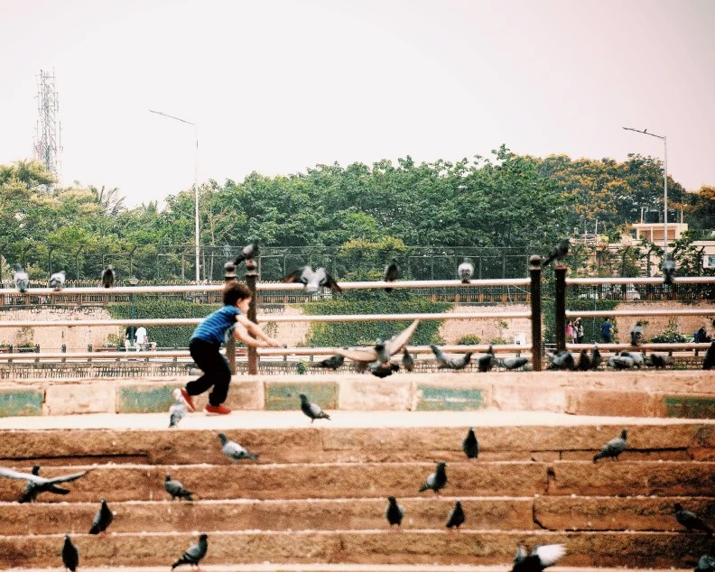 Photo of Ulsoor Lake, Sivanchetti Gardens, Bengaluru, Karnataka, India by Pratiksha Mohanty