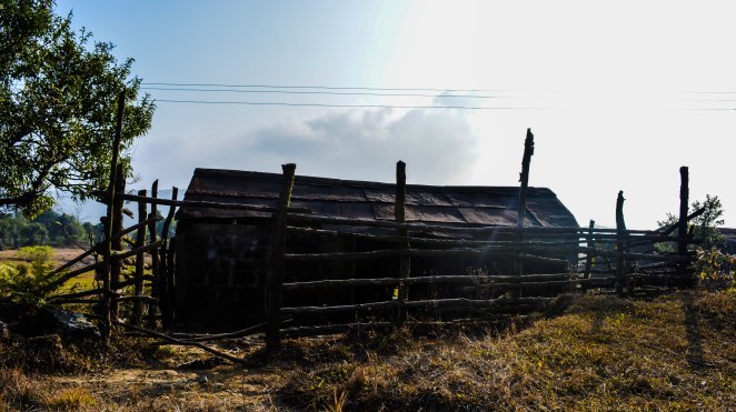 Photo of Reliving a winter getaway-Charming Meghalaya 13/21 by Visuallyblunt