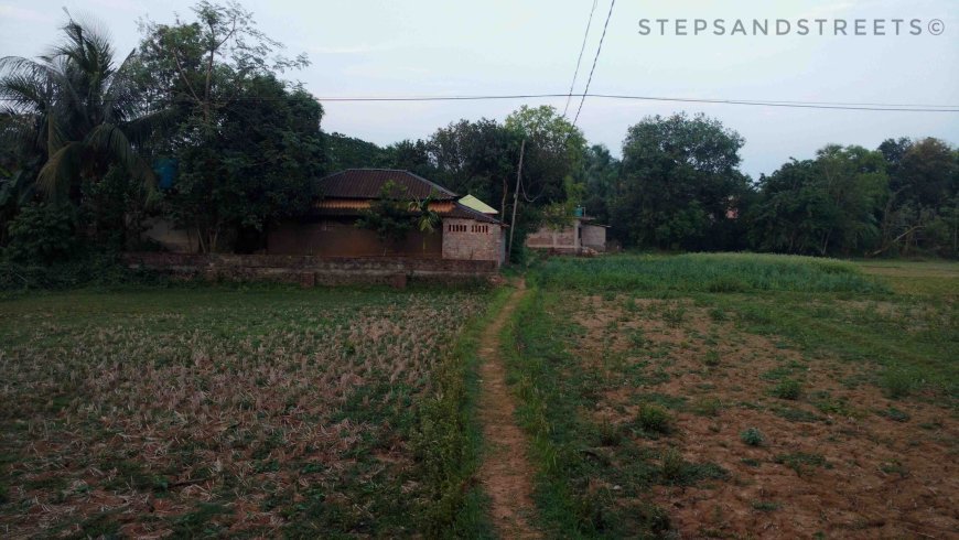 Photo of My Quest for folksy streets led me to a village uncovered on the web: A Photo Blog 3/13 by Tanisha Guin