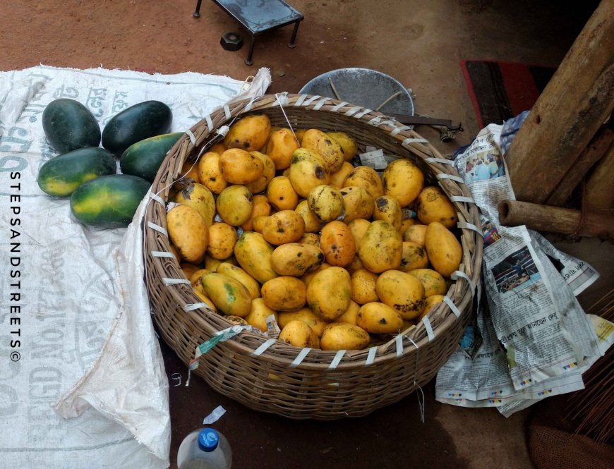 Photo of My Quest for folksy streets led me to a village uncovered on the web: A Photo Blog 5/13 by Tanisha Guin
