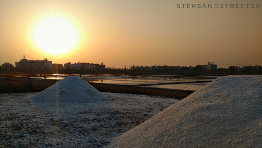 Photo of Sunset Conversations amidst the White Fields of Bassein · Steps and Streets 2/17 by Tanisha Guin