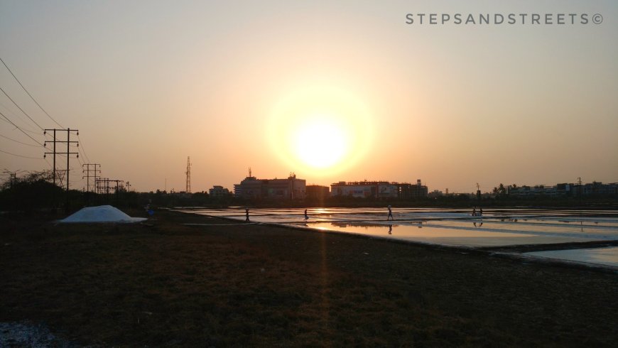 Photo of Sunset Conversations amidst the White Fields of Bassein · Steps and Streets 3/17 by Tanisha Guin