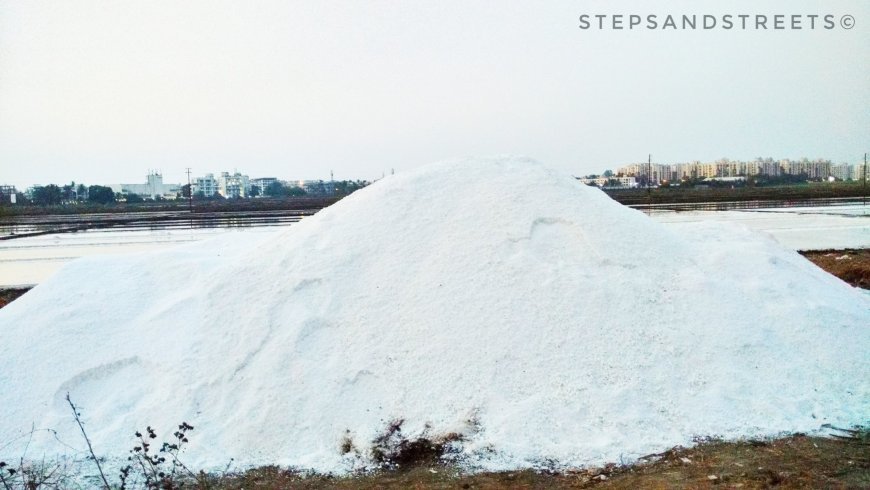 Photo of Sunset Conversations amidst the White Fields of Bassein · Steps and Streets 4/17 by Tanisha Guin