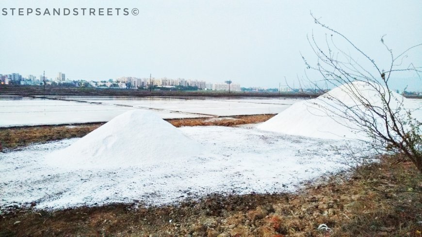 Photo of Sunset Conversations amidst the White Fields of Bassein · Steps and Streets 6/17 by Tanisha Guin