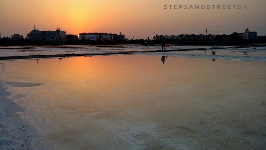 Photo of Sunset Conversations amidst the White Fields of Bassein · Steps and Streets 8/17 by Tanisha Guin