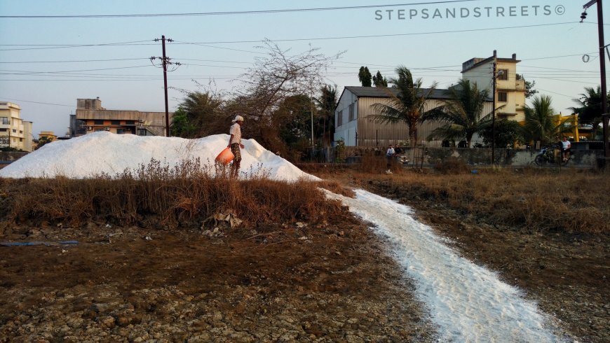 Photo of Sunset Conversations amidst the White Fields of Bassein · Steps and Streets 12/17 by Tanisha Guin