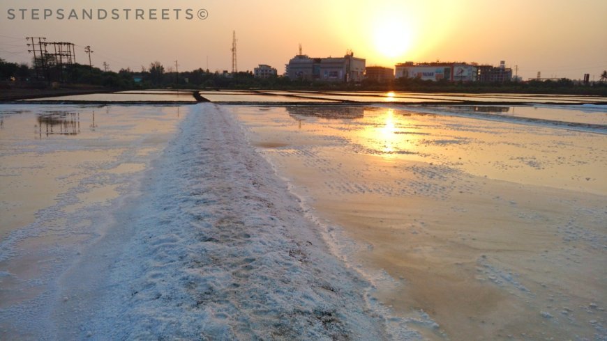 Photo of Sunset Conversations amidst the White Fields of Bassein · Steps and Streets 14/17 by Tanisha Guin