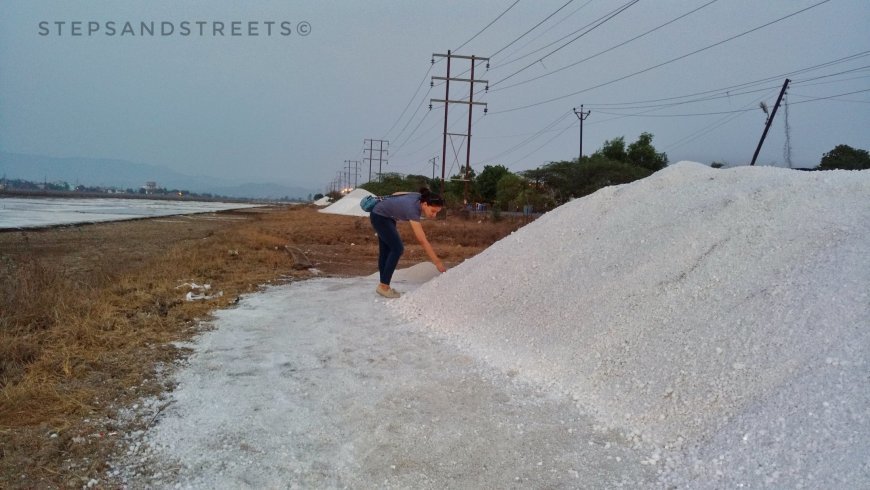 Photo of Sunset Conversations amidst the White Fields of Bassein · Steps and Streets 16/17 by Tanisha Guin