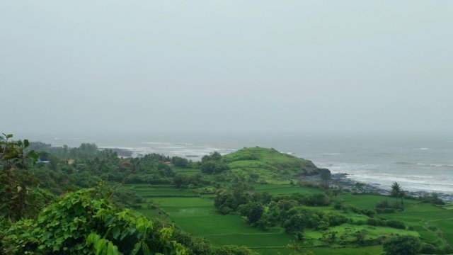 Photo of Monsoon Musings in 30 Photos : A Glimpse of my 2017 Rain Journey 2/4 by Tanisha Guin