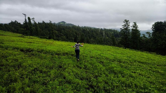 Photo of Monsoon Musings in 30 Photos : A Glimpse of my 2017 Rain Journey by Tanisha Guin