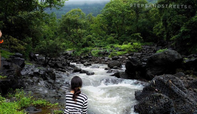 Photo of Malshej Ghat, Pune, Maharashtra, India by Tanisha Guin