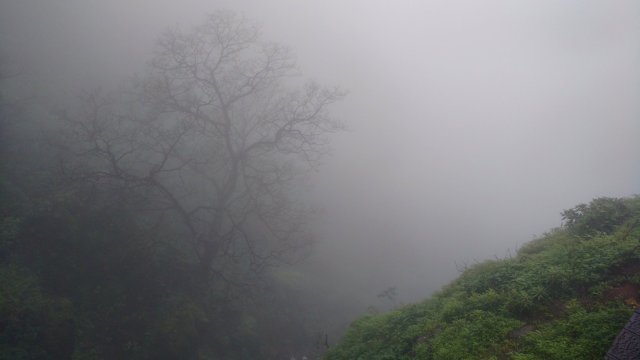 Photo of Malshej Ghat, Pune, Maharashtra, India by Tanisha Guin