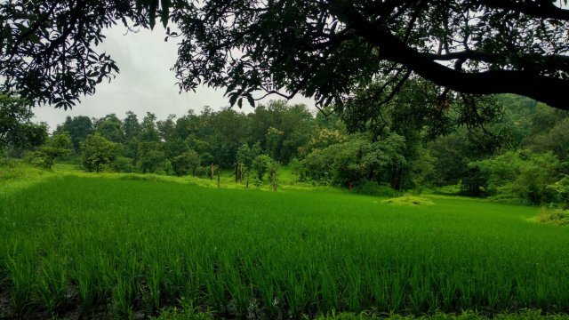 Photo of Vikramgad, Maharashtra, India by Tanisha Guin