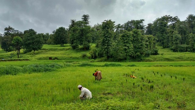 Photo of Jawhar, Maharashtra, India by Tanisha Guin
