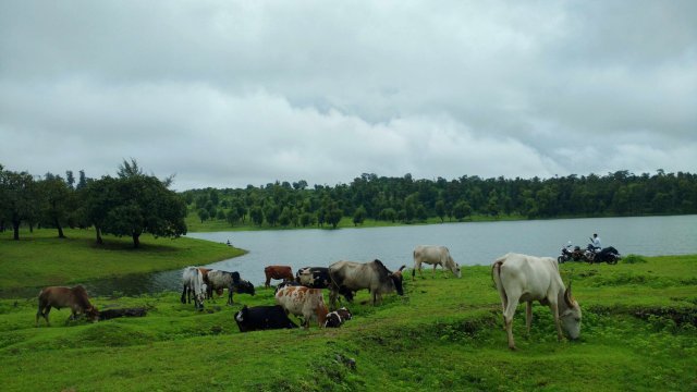 Photo of Jawhar, Maharashtra, India by Tanisha Guin