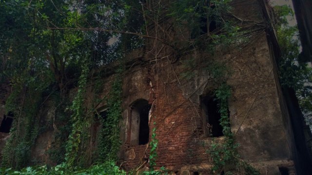 Photo of Time Travel in the Bengal Countryside by Tanisha Guin