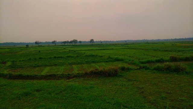 Photo of Time Travel in the Bengal Countryside by Tanisha Guin