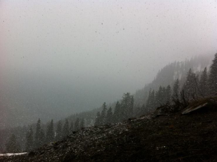 Photo of Warrior Shelter 6/23 by Jayant Jayneel