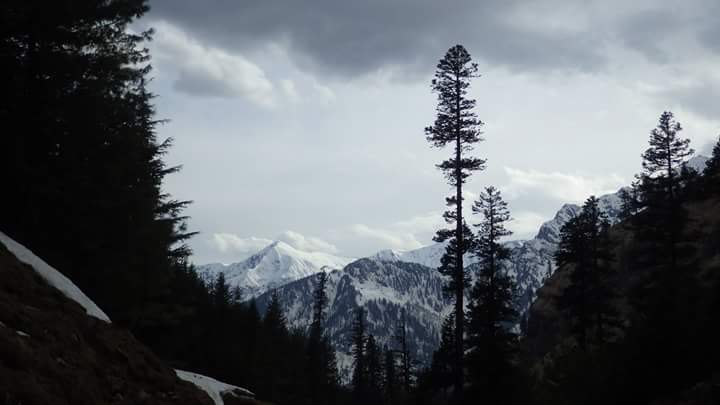 Photo of Warrior Shelter 11/23 by Jayant Jayneel