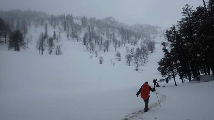 Photo of Warrior Shelter 12/23 by Jayant Jayneel