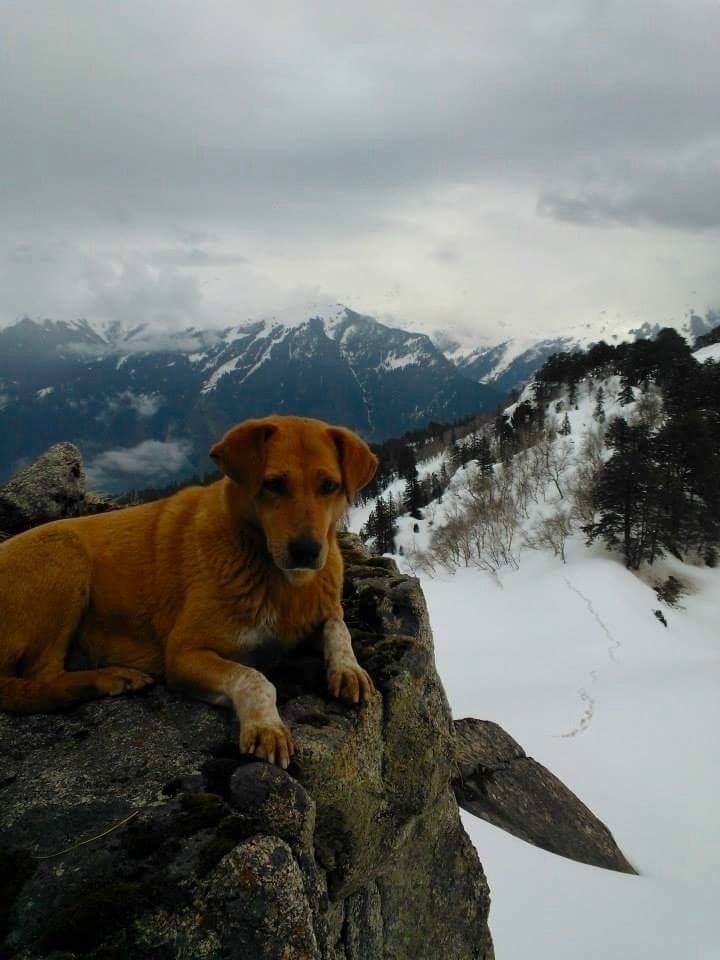 Photo of Warrior Shelter 21/23 by Jayant Jayneel