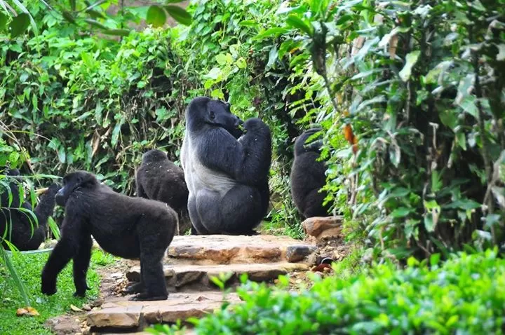 Photo of Uganda by Agnes Mirembe