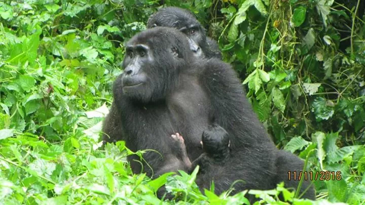 Photo of Uganda by Agnes Mirembe