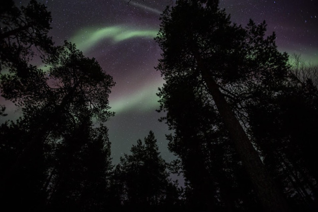 Photo of FINLAND: Below 6 degree Celsius, Amidst green, yellow and orange 9/11 by Shibani Gharat