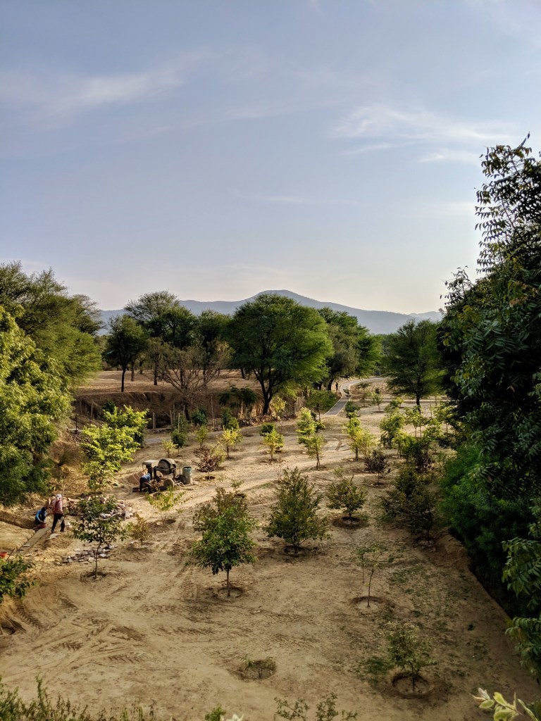 Photo of Alila Fort Bishangarh, not a getaway but an experience! by Shilpa Arora