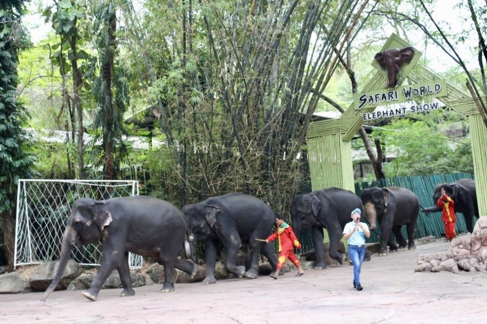 Photo of Safari World, Thanon Panya Intra, Sam Wa Tawan Tok, Khlong Sam Wa, Bangkok, Thailand by Shilpa Arora