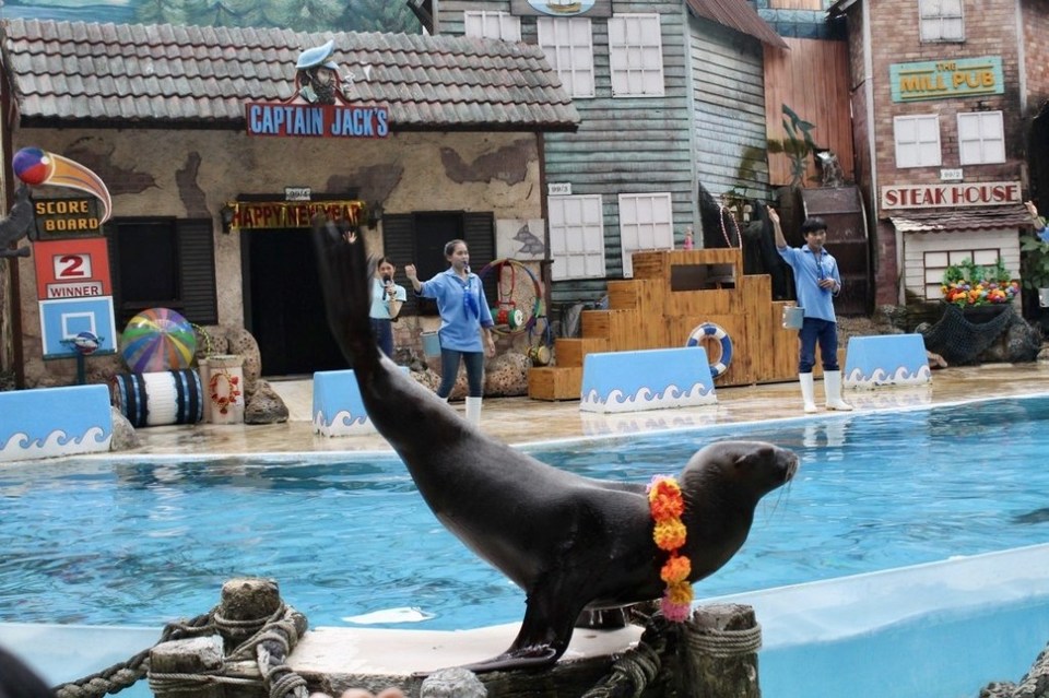 Photo of Safari World, Thanon Panya Intra, Sam Wa Tawan Tok, Khlong Sam Wa, Bangkok, Thailand by Shilpa Arora