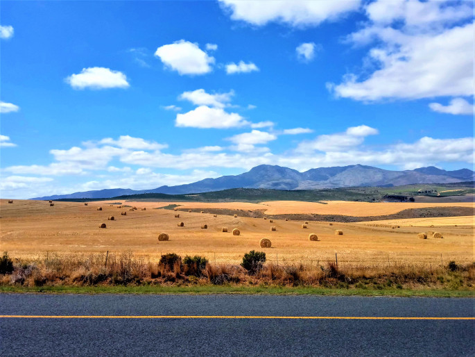 Photo of SOLO TRAVEL TO SOUTH AFRICA,ZIMBABWE AND ZAMBIA 1/29 by Uddipan Halder