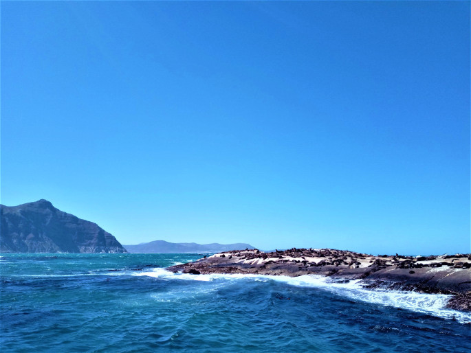 Photo of SOLO TRAVEL TO SOUTH AFRICA,ZIMBABWE AND ZAMBIA 10/29 by Uddipan Halder