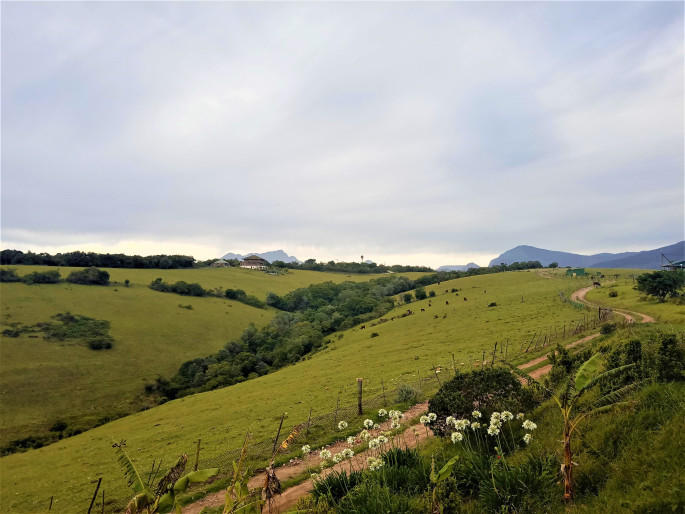 Photo of SOLO TRAVEL TO SOUTH AFRICA,ZIMBABWE AND ZAMBIA 26/29 by Uddipan Halder