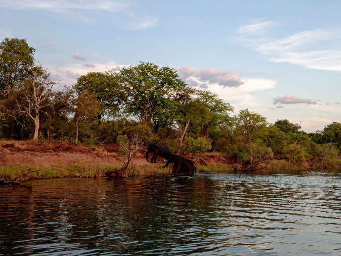 Photo of SOLO TRAVEL TO SOUTH AFRICA,ZIMBABWE AND ZAMBIA 29/29 by Uddipan Halder