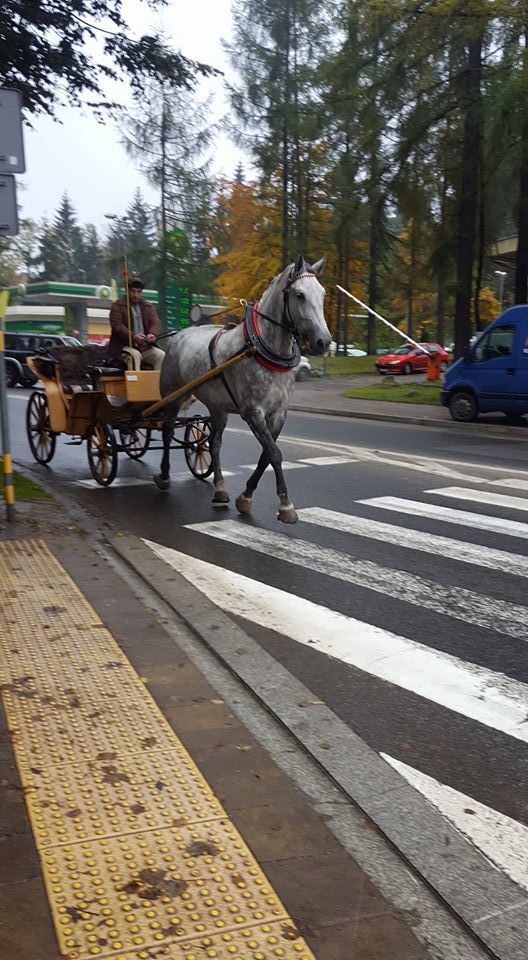 Photo of Zakopane, Poland by Kelly & Anthony